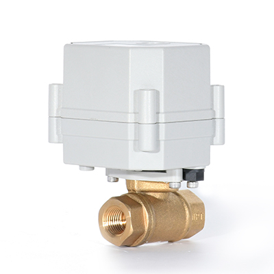 Switch Type - 1/4'' Brass 2Way Brass Electric Water Valve Electric Ball Valve AC110-230V